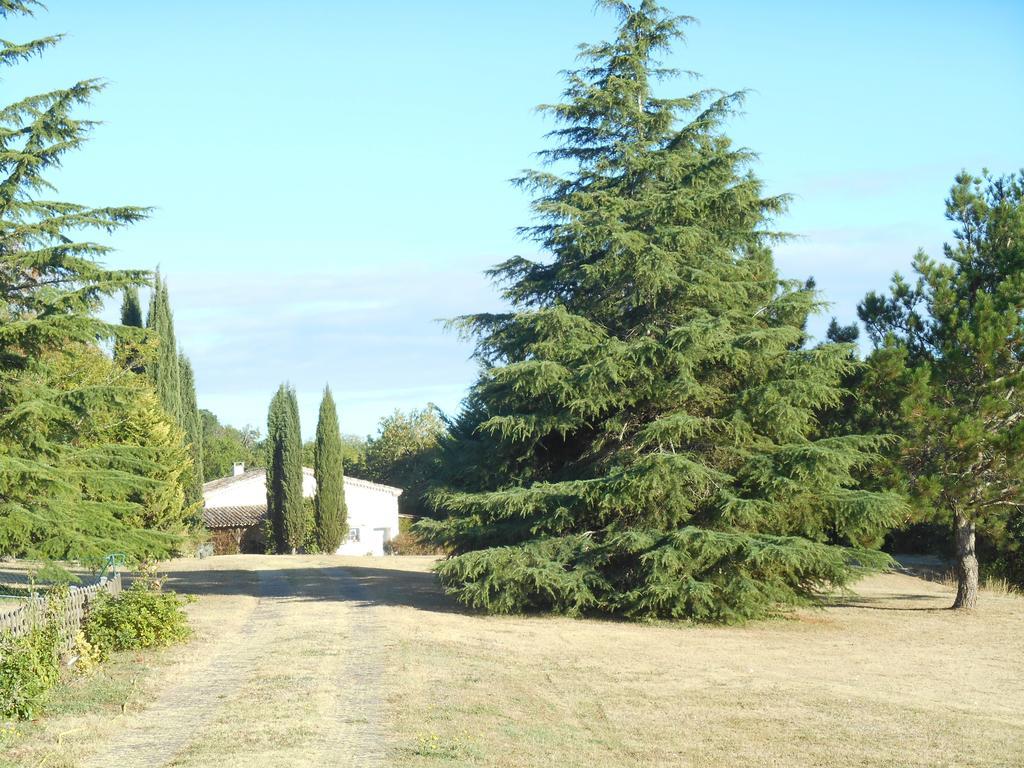 Le Colombier Bed & Breakfast Villeneuve-sur-Lot Exterior photo