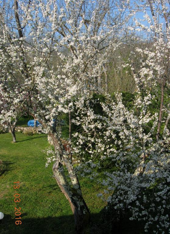 Le Colombier Bed & Breakfast Villeneuve-sur-Lot Exterior photo