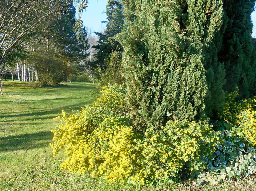 Le Colombier Bed & Breakfast Villeneuve-sur-Lot Exterior photo
