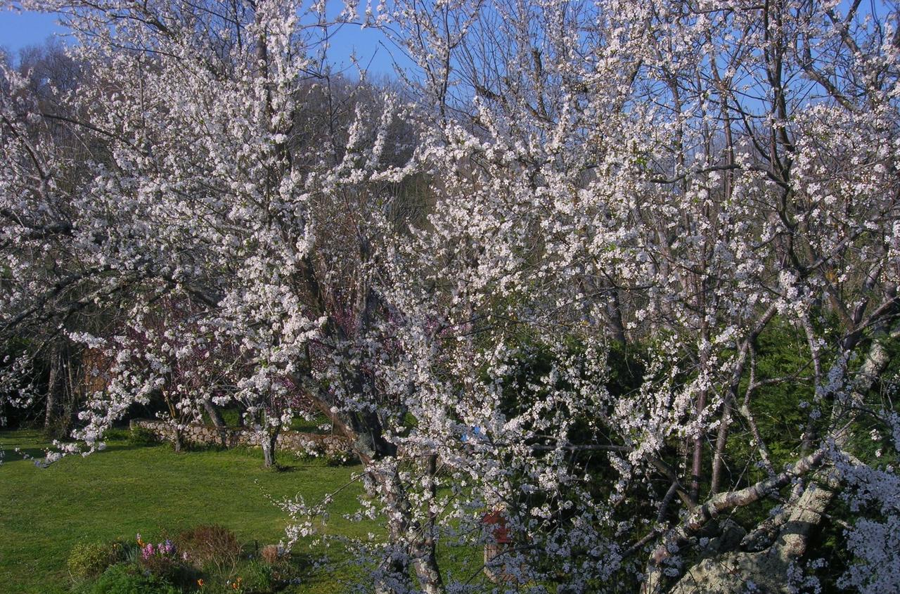 Le Colombier Bed & Breakfast Villeneuve-sur-Lot Exterior photo